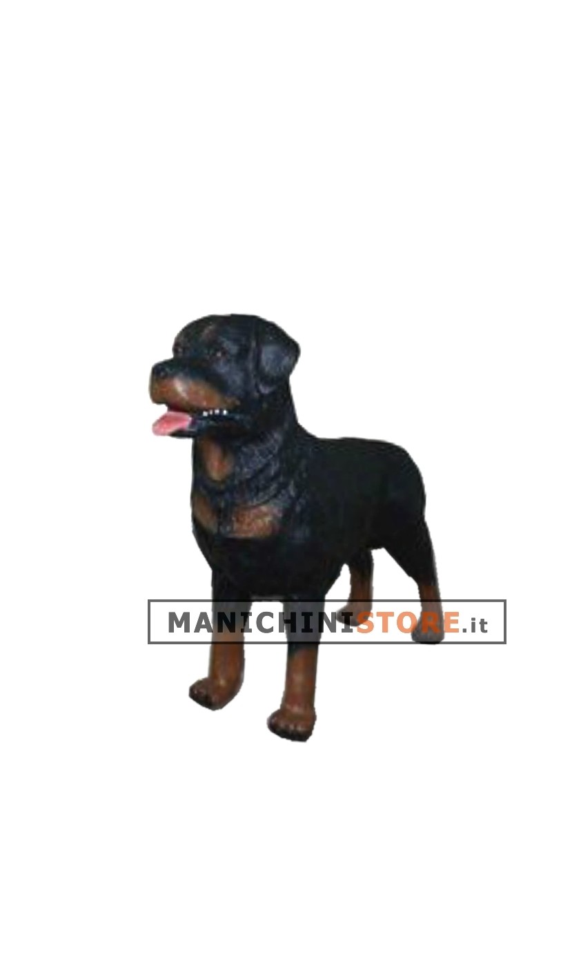 Cane Rotweiller per allestimento vetrina - REALISTICO