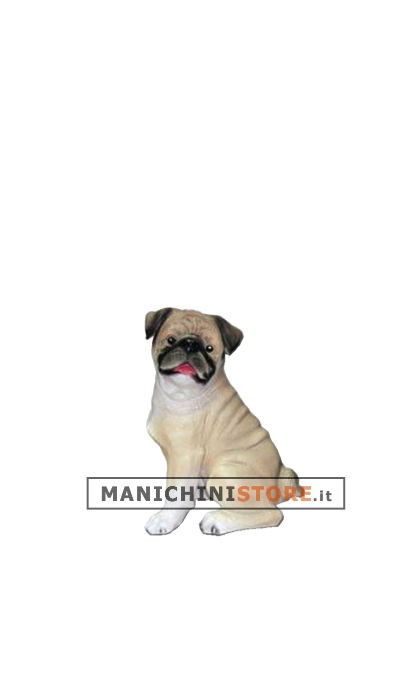 Cane Carlino per allestimento vetrina - REALISTICO