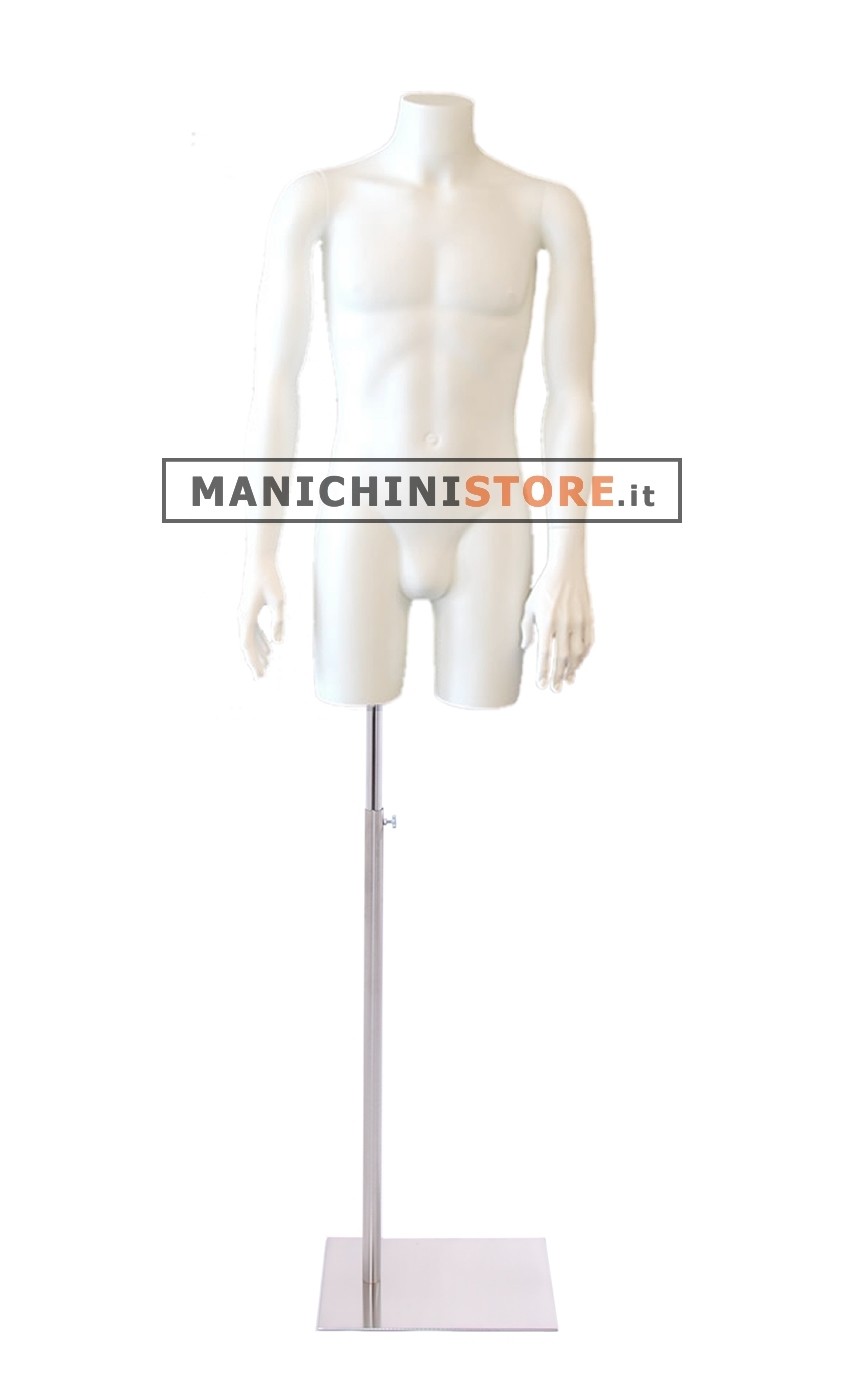 Busto torso uomo con braccia